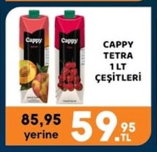 Cappy Tetra Şeftali & Vişne 1Lt Çeşitleri