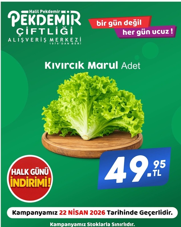 Pekdemir Kıvırcık Marul Adet