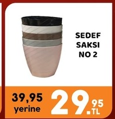 Sedef Saksı No:2