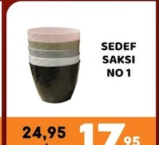 Sedef Saksı No 1