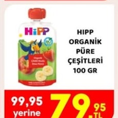 Hipp Organik Püre Çeşitleri 100 Gr