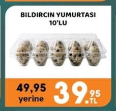 Bıldırcın Yumurtası 10'Lu