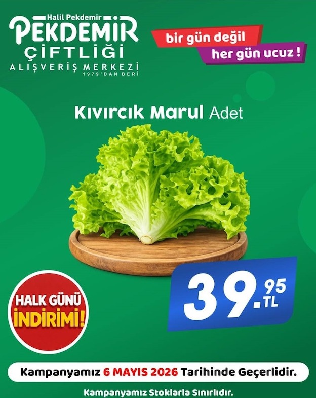 Pekdemir Kıvırcık Marul Adet