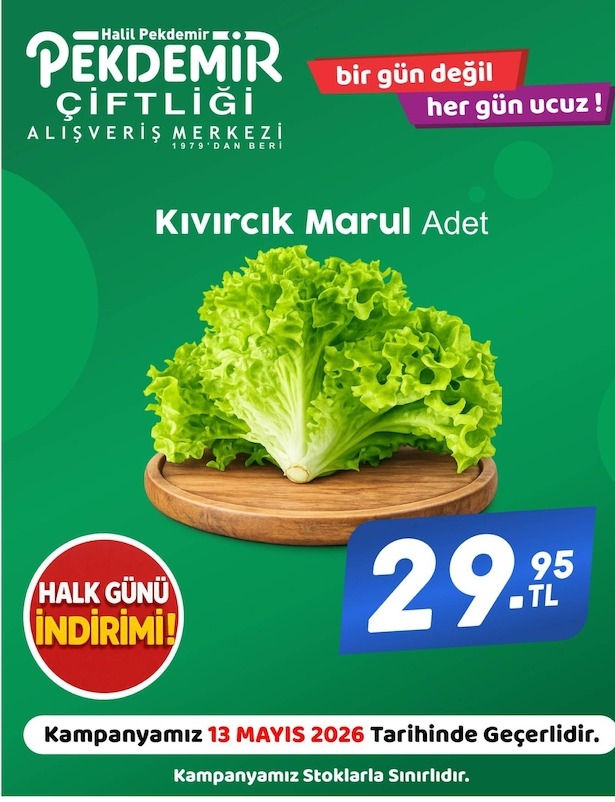 Kıvırcık Marul Adet