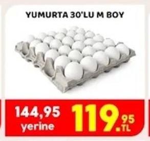 Yumurta 30'Lu M Boy