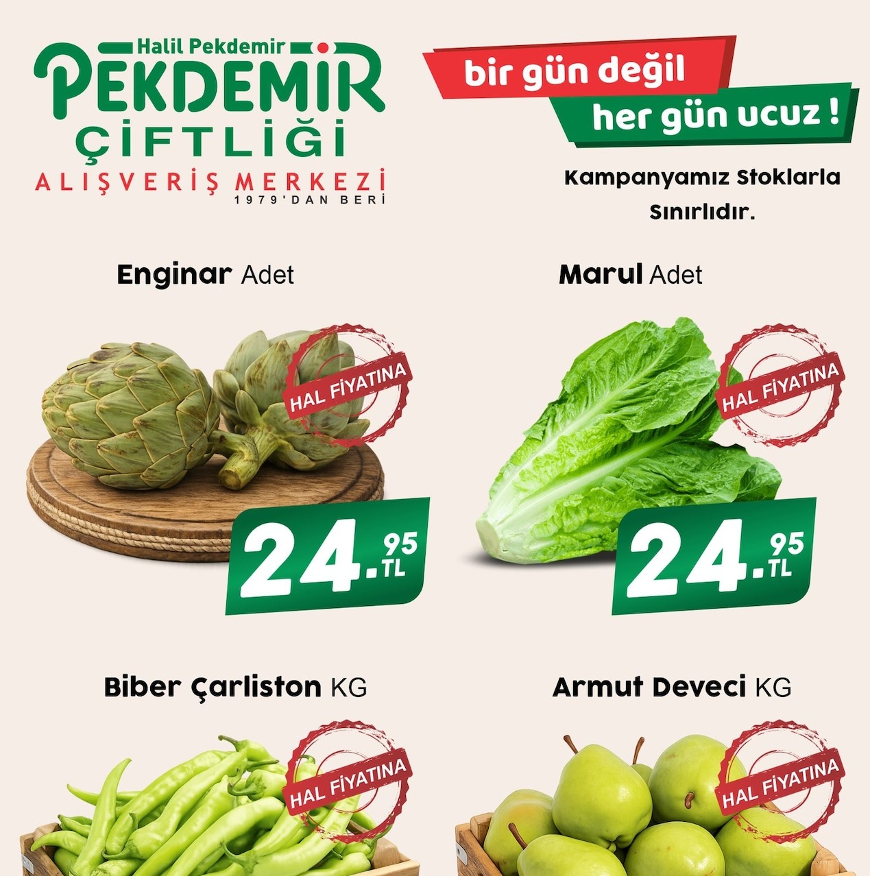Enginar Adet