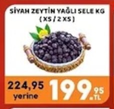 Siyah Zeytin Yağli Sele Kg (Xs / 2 Xs)