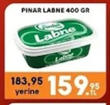 Pinar Labne