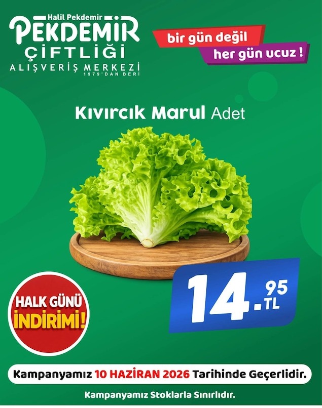Pekdemir Kıvırcık Marul Adet