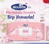 Alouette Mis Kokulu Islak Mendil Sakura 90'Lı