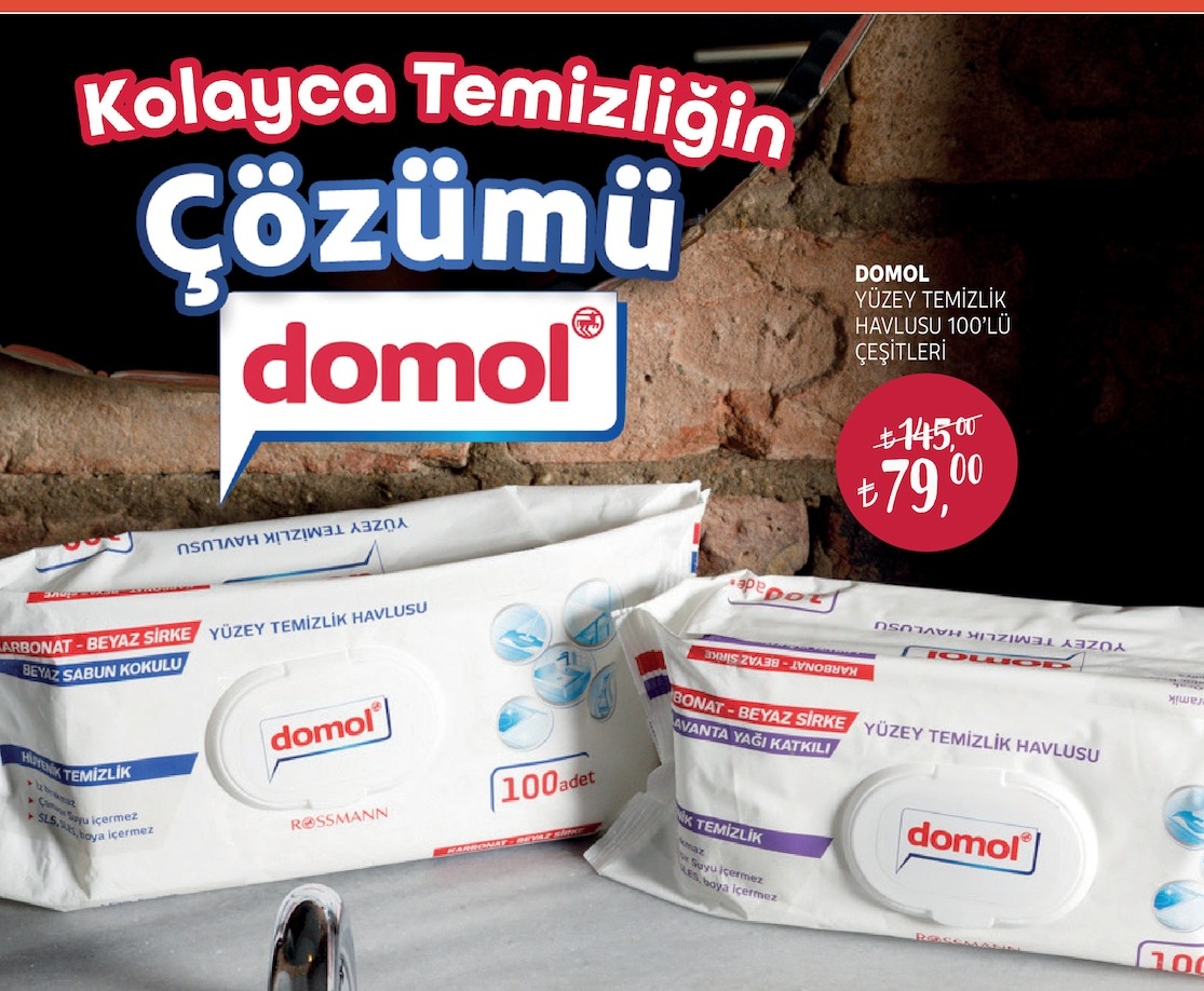 Domol Yüzey Temizlik Havlusu 100'Lü