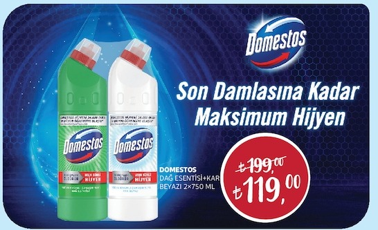 Domestos Dağ Esintisi + Kar Beyazı 2X750Ml