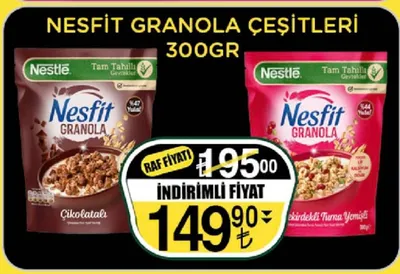 Nesfit Granola Çeşitleri 300Gr