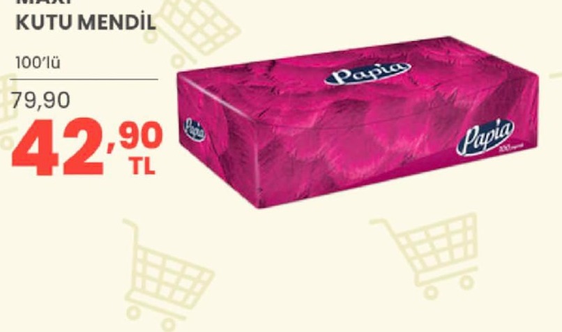Papia Maxi Kutu Mendil 100'Lü