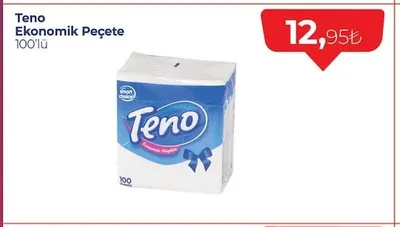 Teno Ekonomik Peçete 100'Lü
