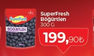 Superfresh Böğürtlen 300G