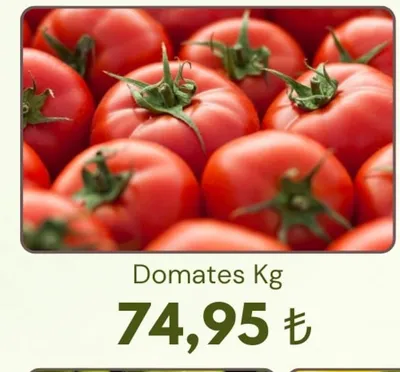 Domates Kg