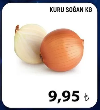 Kuru Soğan Kg