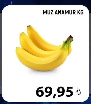 Muz Anamur Kg