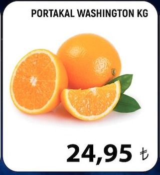 Portakal Washington Kg