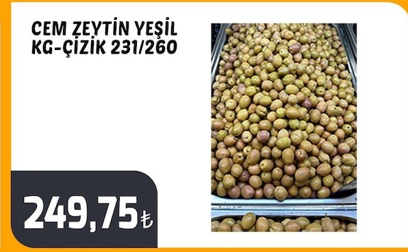 Cem Zeytın Yeşil Kg-Çızık 231/260