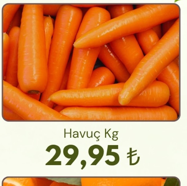 Havuç Kg