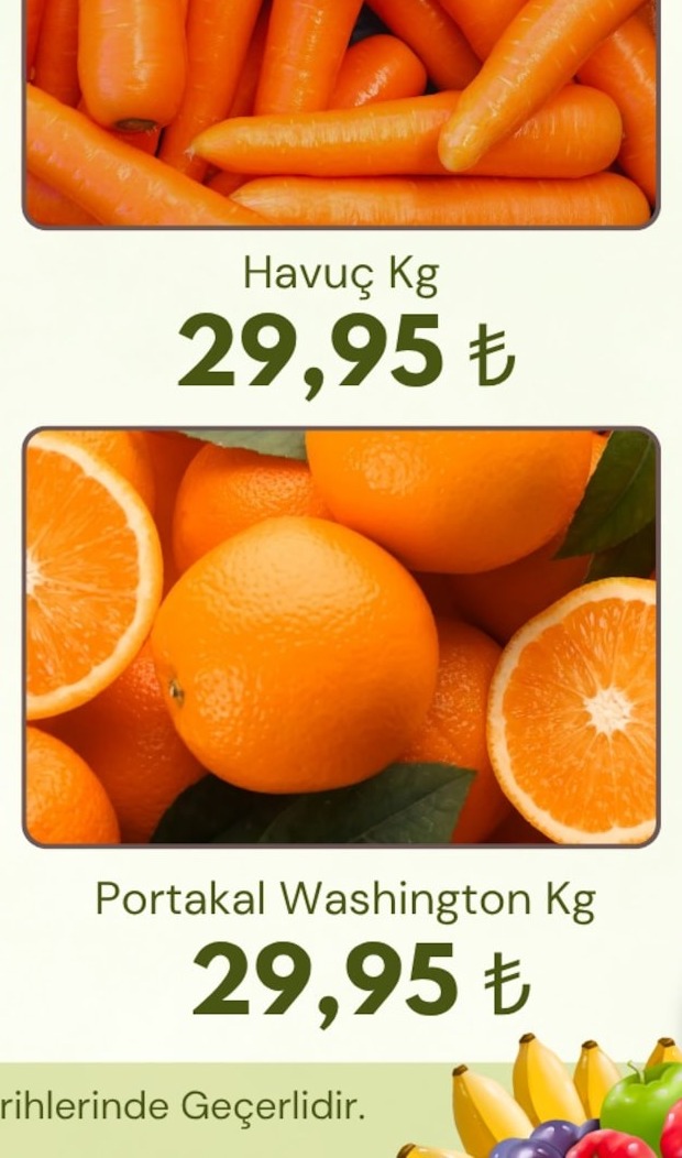 Portakal Washington Kg