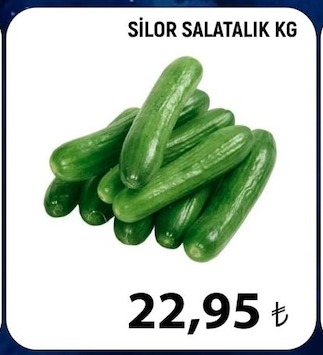 Silor Salatalik Kg