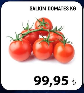 Salkim Domates Kg