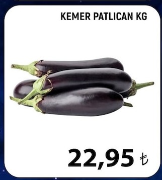 Kemer Patlican Kg