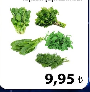 Yeşillik Çeşitleri Adet
