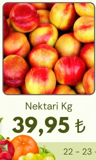 Nektari Kg