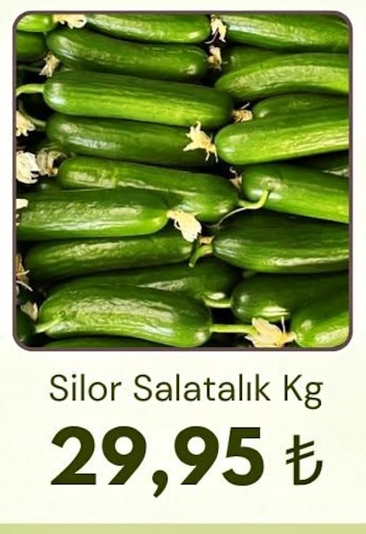 Silor Salatalık Kg