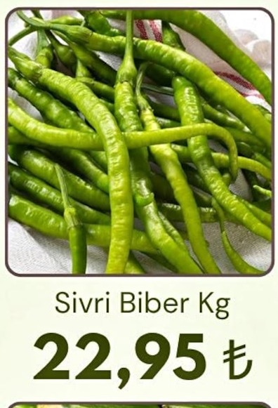 Sivri Biber Kg