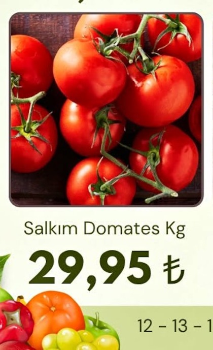 Salkim Domates Kg