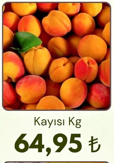 Kayısı Kg