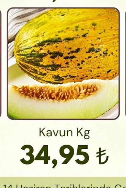 Kavun Kg