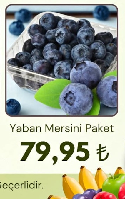 Yaban Mersini Paket