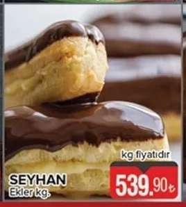 Seyhan Ekler Kg.