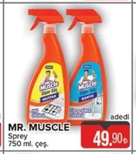 Mr. Muscle Sprey 750 Ml. Çeş.
