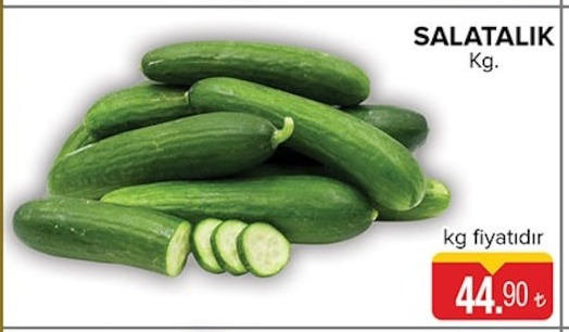 Salatalık Kg