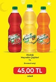 Uludağ Meyvelim Çeşitleri 1L