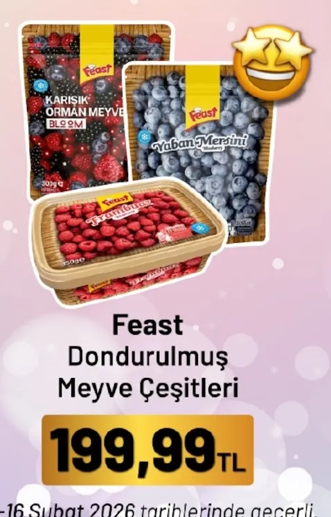 Feast Dondurulmuş Meyve Çeşitleri