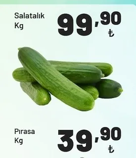 Salatalık Kg