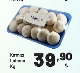 Mantar Paket 400 Gr