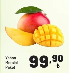 Yaban Mersini Paket