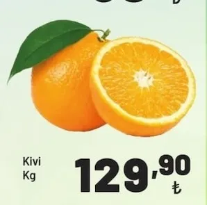 Kivi Kg