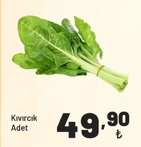 Kıvırcık Adet