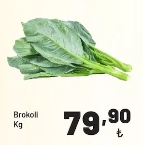 Brokoli Kg