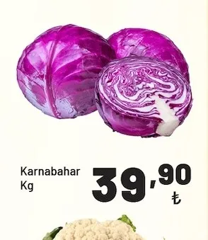 Karnabahar Kg